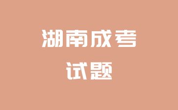 2024年湖南成考高起點《英語》考試真題及答案（1）
