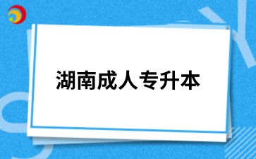 2024年湖南成人專升本英語怎么拿高分